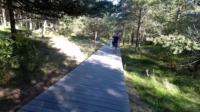 Куршская коса.mp4 смотреть онлайн