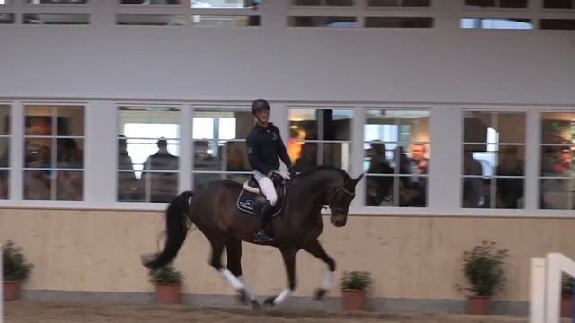 Lentini - Lavaletto - Calando I - Landgraf I - Stamm 776 смотреть онлайн