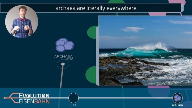 Tour 2: Archaea – the most underrated Domain of Life смотреть онлайн
