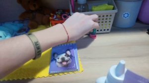 Влог ухаживают за новой сквиш собакой