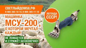 Неубиваемая советская машинка МСУ-200. Краткий обзор + тест-драйв. Лучшие машинки для стрижки овец