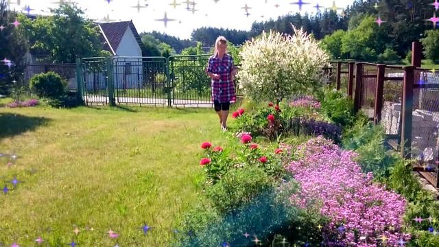 На природе с Золотой рыбкой смотреть онлайн