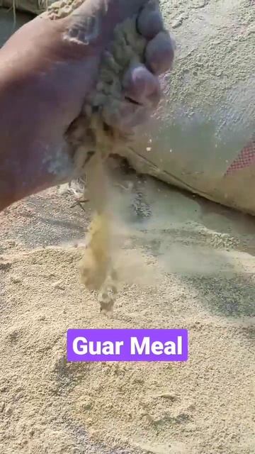 Guar Meal Using In  For Poultry Bird Feed 🐓🐔🐥 #Guar #meal  #viralshort