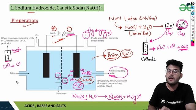 Chemicals from Common Salt |Caustic Soda(NaOH)| CBSE NCERT| Naman Pandey смотреть онлайн