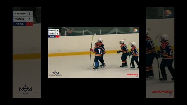 играем за Тигров смотреть онлайн