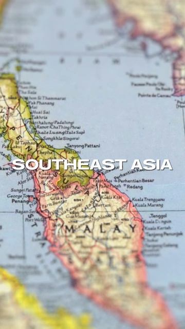 The Daring World Of Fugu Sushi – Unveiled! #SushiLovers #DeliciousBites #GlobalCuisine