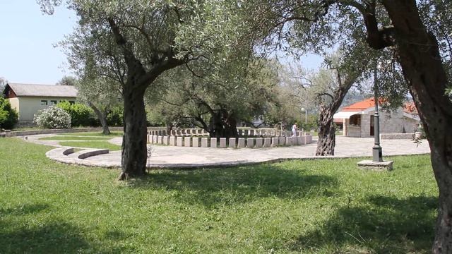 оливе 2000 лет Черногория смотреть онлайн