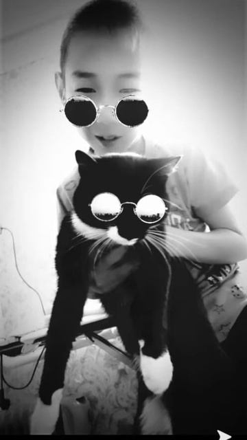 Кошка красывпй очки 😍😍 смотреть онлайн
