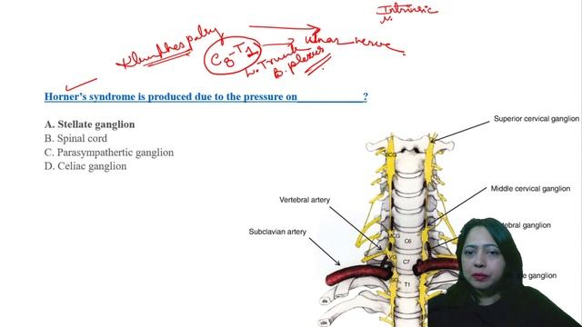 Quiz -4 Anatomy | NEETPG'22 | Anatomy | Let's Crack NEET PG | Dr.Rohini Avadhani смотреть онлайн