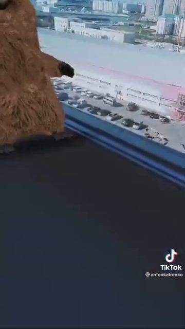 бобёр по имени БЕБРА смотреть онлайн