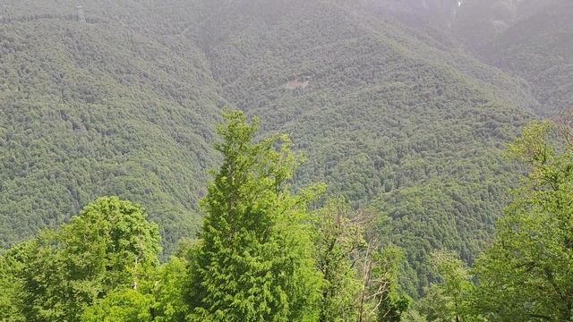 Божественная красота! смотреть онлайн