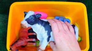 Животный мир для детей - Набор игрушек животных!Множество игрушек для изучения!