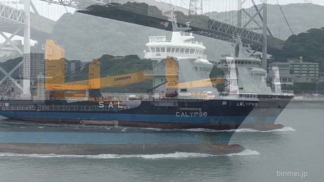 CALYPSO - SAL Heavy Lift Heavy Lift Carrier - 2016
