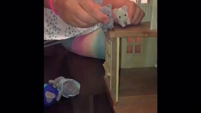 Koala Family Fun смотреть онлайн