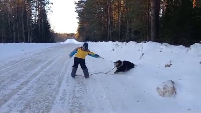 Сима (Кармен), 7 месяцев смотреть онлайн