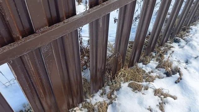 Забор выпрыгивает Дом в деревне Ремот Стена готова смотреть онлайн