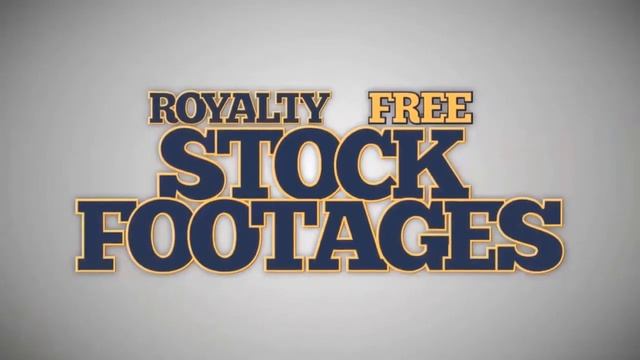 Stunning extreme closeup Blue Morpho Butterfly Peleides limpida (2 in 1). Stock Footage смотреть онлайн