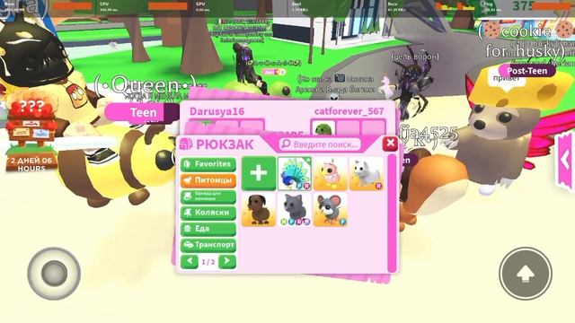 трейди на фр павлина😨 хотите что б я из друзей кому то прокачала инвентарь?(2) смотреть онлайн