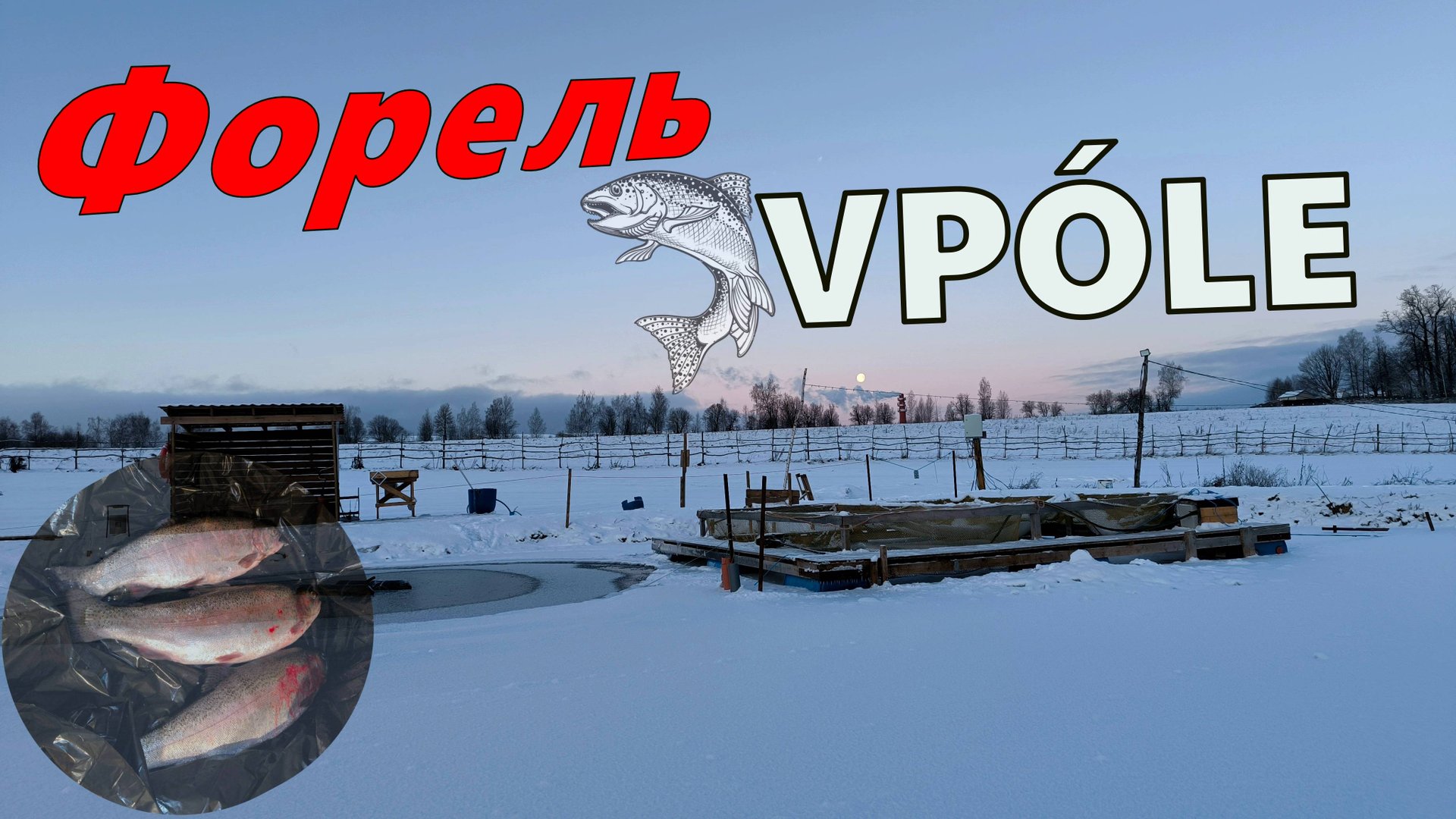 Форель на поставушки смотреть онлайн