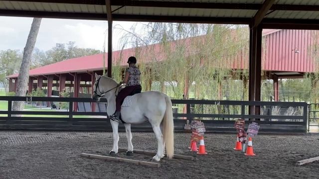 Amy Bhakhri & Freya Di, VTRC # 34 basic, amateur 50+ смотреть онлайн