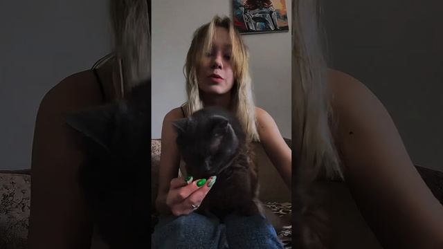 Обзор крем-супы Jarvi. #jarvi смотреть онлайн