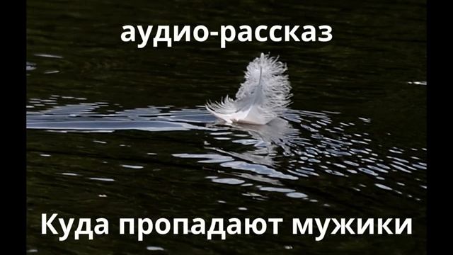 Куда пропадают мужики. Аудиорассказ.