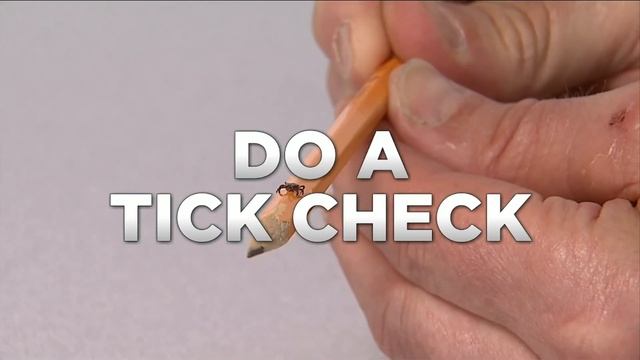 Preventing tick bites and Lyme disease смотреть онлайн