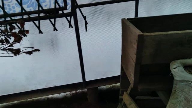 рыбы нет, хоть яиц наберу... смотреть онлайн