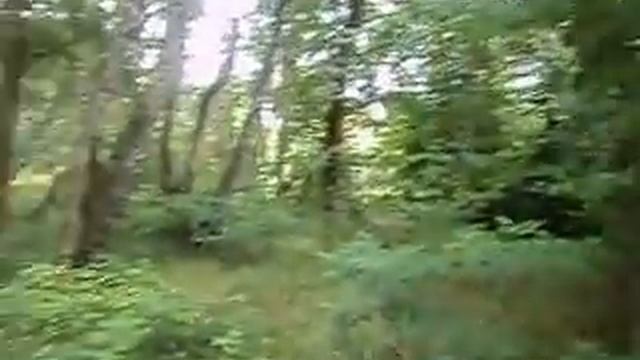 Ми идём на море смотреть онлайн