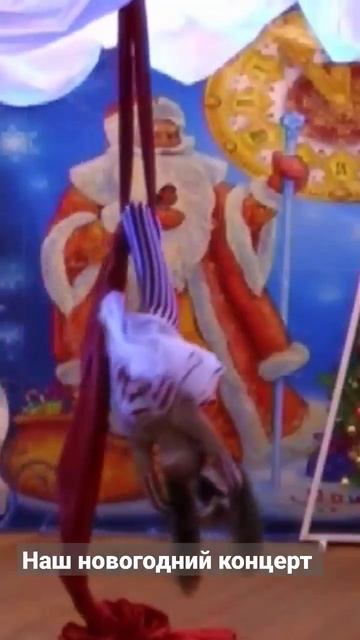 #circus #цирковаястудия #воздушнаягимнастика #contortion #aerialsilks #анапа смотреть онлайн