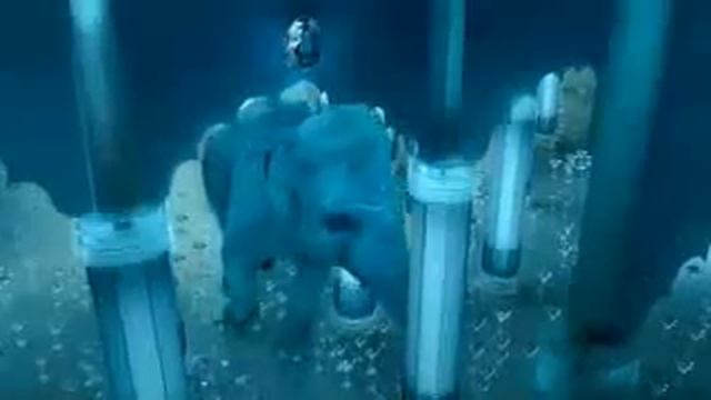 Bombay Sapphire (Elephant).mp4