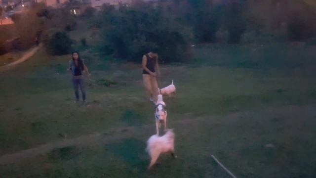 Ciara y Arya en el parque(2) смотреть онлайн