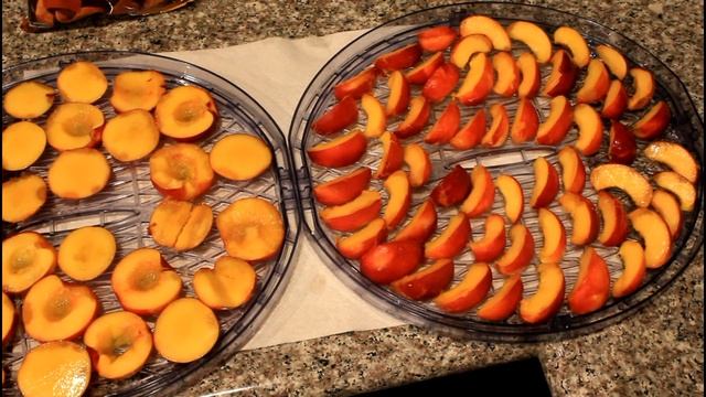 How to make Dehydrated Dried Nectarine Fruit with Waring Pro Food Dehydrator смотреть онлайн