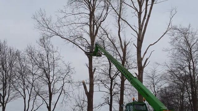 Boompje drukken met de verreiker смотреть онлайн