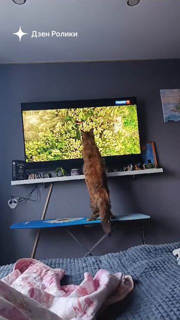 ОХОТА НА ЛИС смотреть онлайн