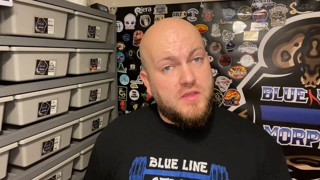 What Size Rodent Should You Be Feeding Your Ball Pythons? Does It Change With Size? Age? Etc Etc