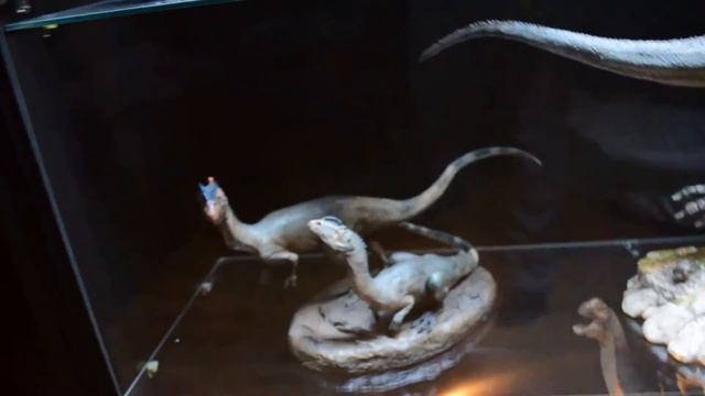 SIDESHOW  DINOSAURIA 2