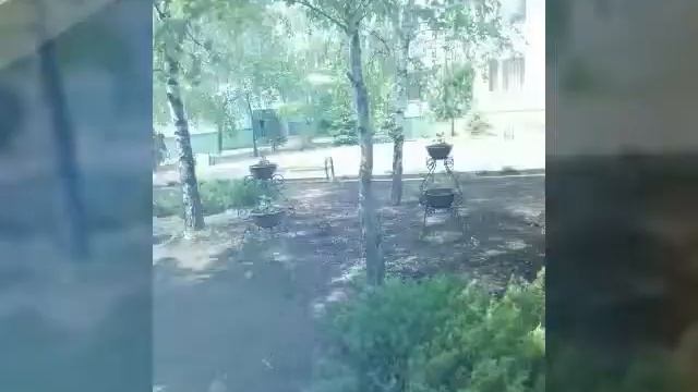 #2. Природа вокруг нас. Растения смотреть онлайн