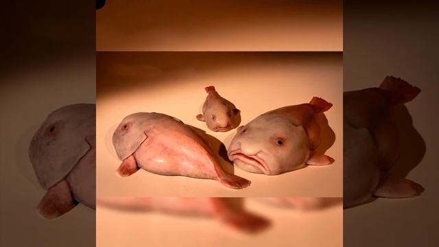 Рыба - капля.              Drop Fish