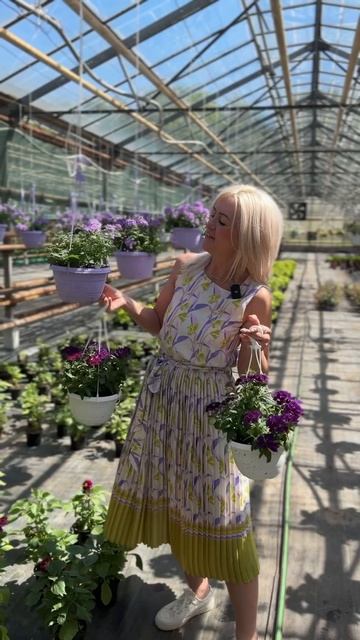 ВЕРБЕНА в кашпо #рассада #вербена #петуния #гортензия #сад #цветы #garden #дача #flowers #огород смотреть онлайн