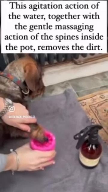 Biteback Pawpal All Natural Shampoo Spary and Paw Plunger Pot. смотреть онлайн