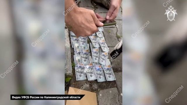 Оперативное видео, Янтарный смотреть онлайн