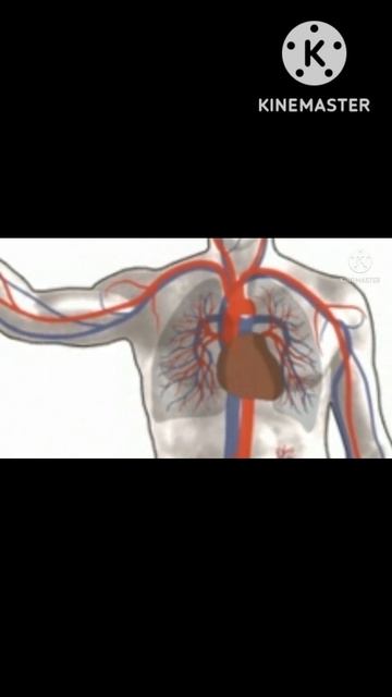 Blood#microbiology #microbes #shortsfeed #bacteria #shortsfeed #education #cell @EnteMicrobialWorld