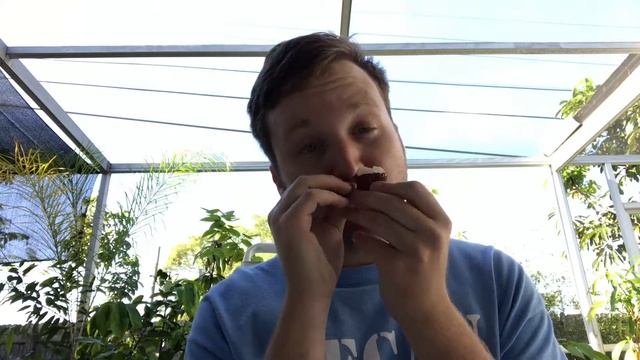 Hak ip Lychee Info & Taste Test смотреть онлайн