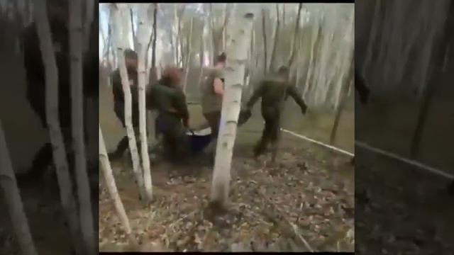 Тигр смотреть онлайн