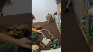 моя коллекция противогазов