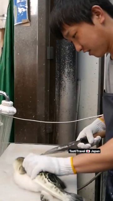 Fugu Pufferfish 🇯🇵 Japan Street Food #shorts смотреть онлайн