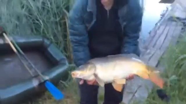 Вот это карп!! На 7 кил. смотреть онлайн