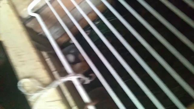 видео про ворону сборник смотреть онлайн