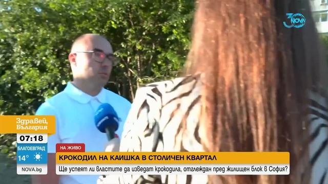 Сагата с крокодила: Ще успеят ли институциите да приберат влечугото - Здравей, България (07.08.2024 смотреть онлайн